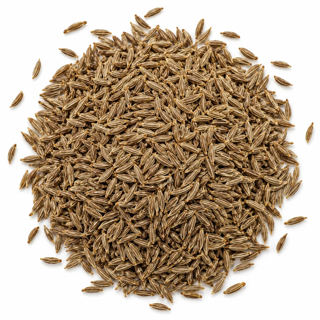 Premium whole cumin seeds